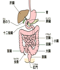 ����������C�Ǐ�C�����C���ÁC����