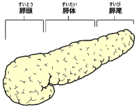 ����������C�Ǐ�C�����C���ÁC����